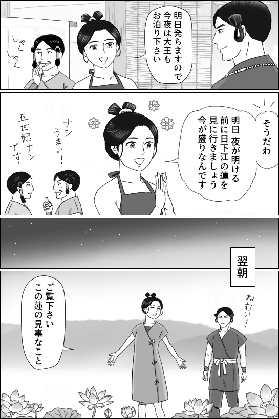 日下江の蓮03